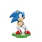 Sonic the Hedgehog Sonic the Hedgehog - Sliding - standaard voor telefoon | oplaadcase