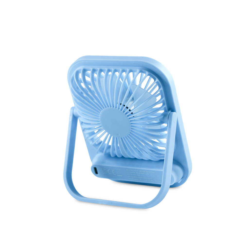 Bluey Bluey - desk super fan