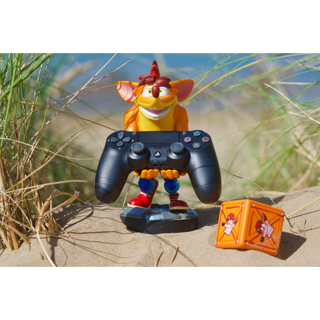 Crash Bandicoot Crash Bandicoot - standaard voor telefoon | controller | oplaadcase