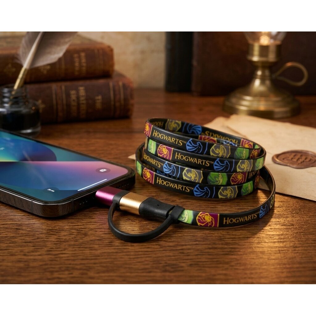 Harry Potter Harry Potter - 4-in-1 oplaadkabel