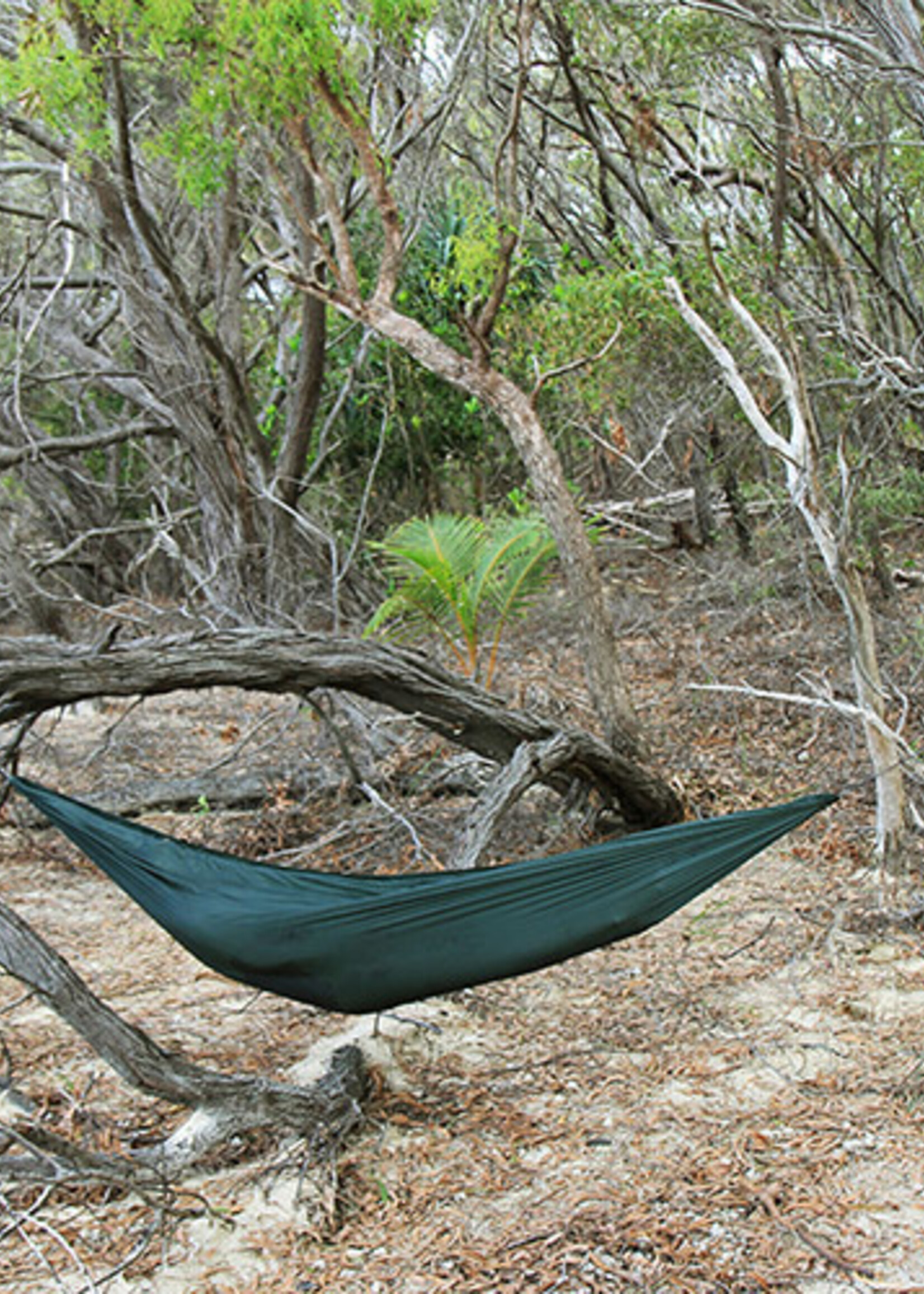 DD Hammocks Superlight Hängematte - Olivgrün