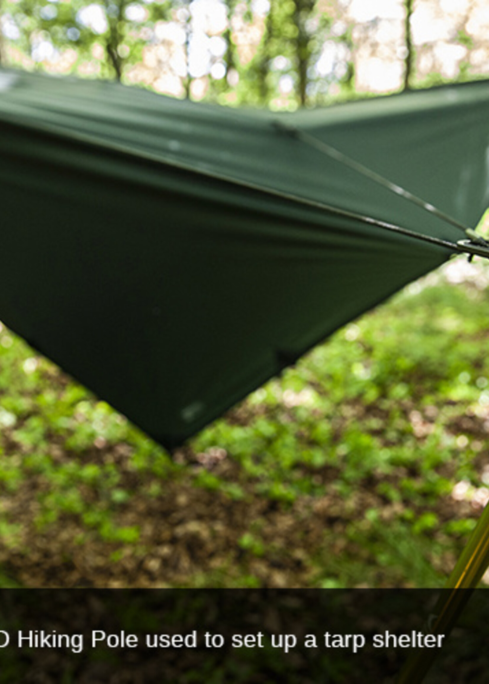 DD Hammocks Hiking Pole/ Wanderstock