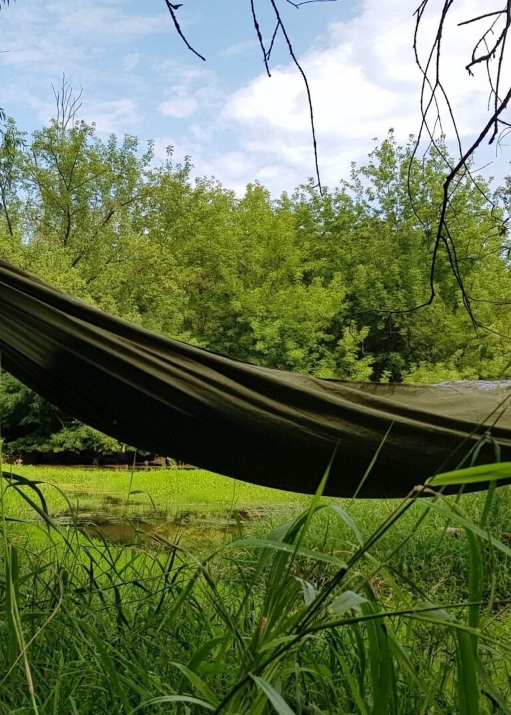 Bushmen Hängematte Grün mit Karabinerhaken