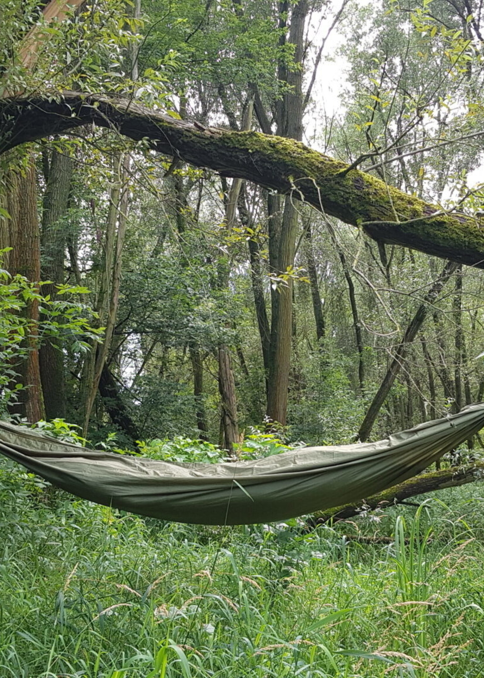 Bushmen Hängematte Grün mit Karabinerhaken