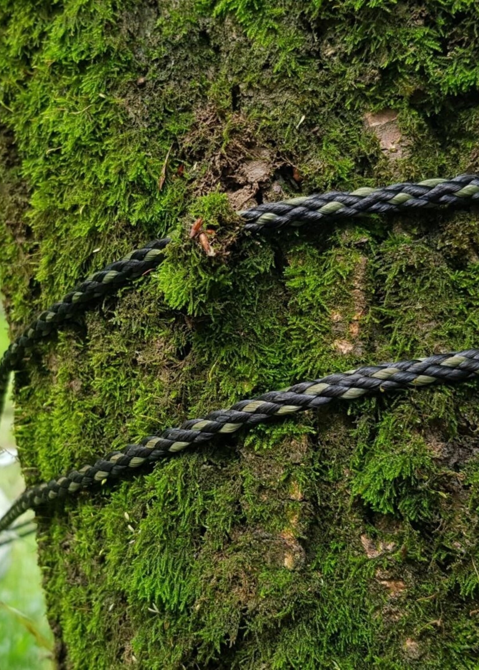 Bushmen Hängematte Grün mit Karabinerhaken