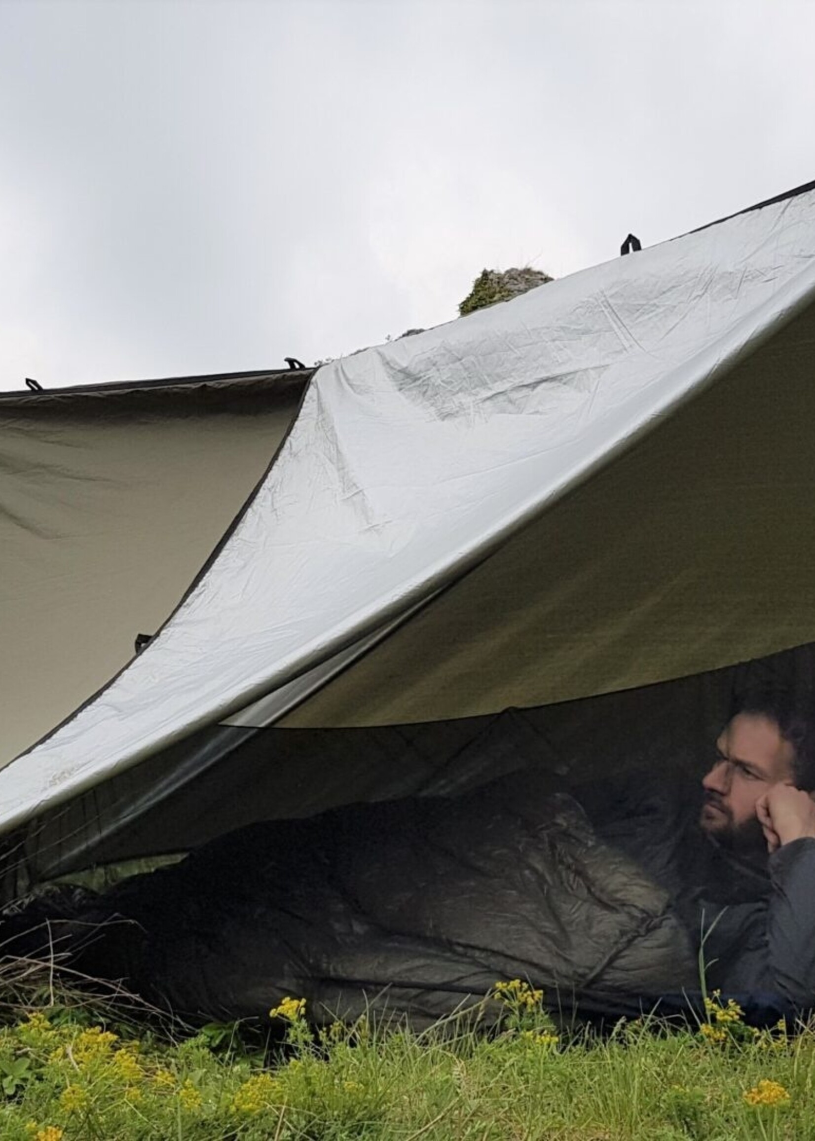 Bushmen Vagabundierendes Wanzen-Netz