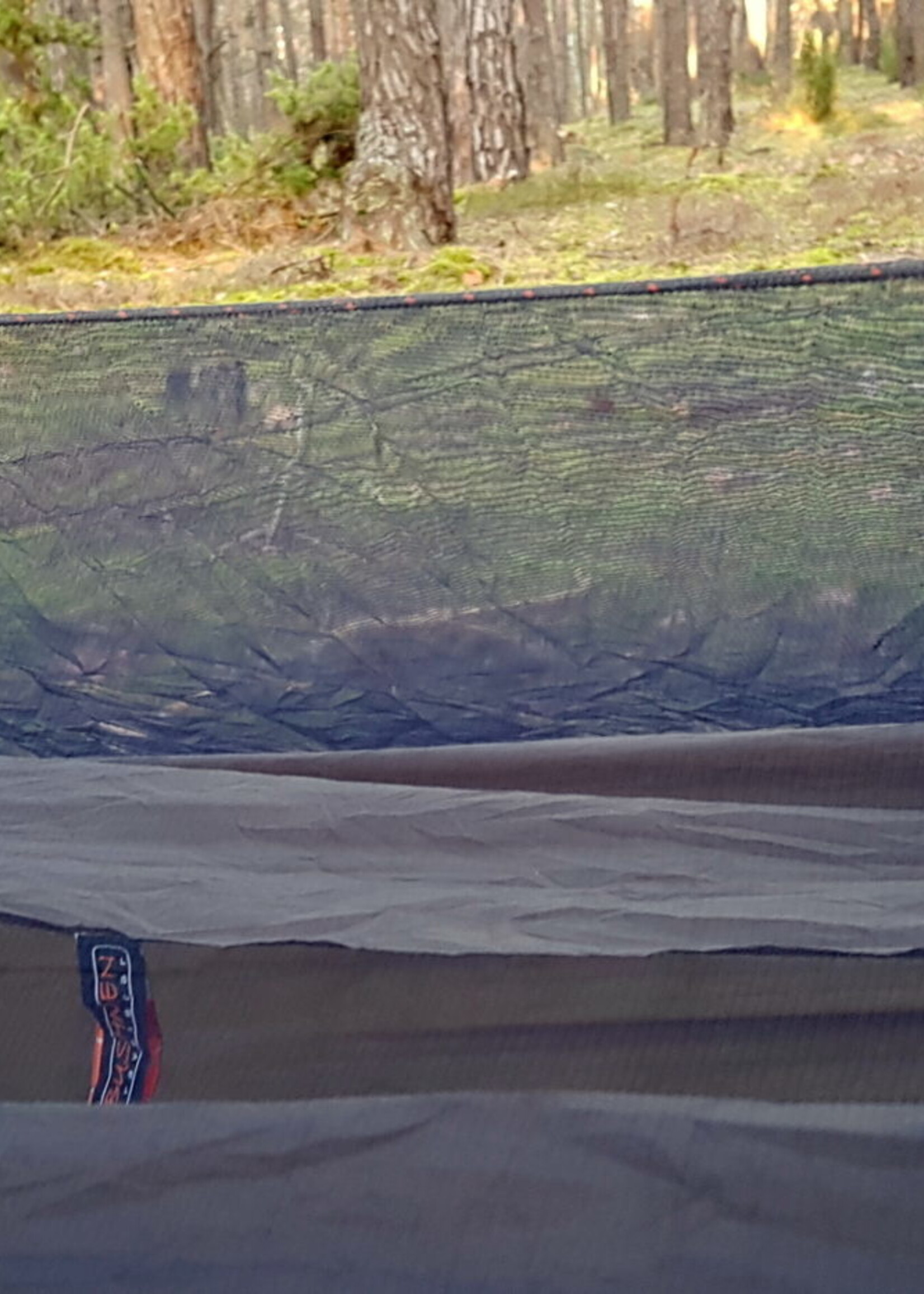 Bushmen Vagabundierendes Wanzen-Netz