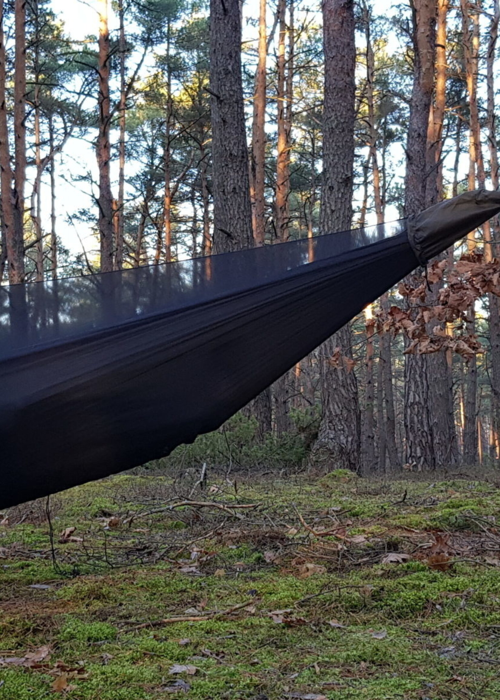 Bushmen Vagabundierendes Wanzen-Netz