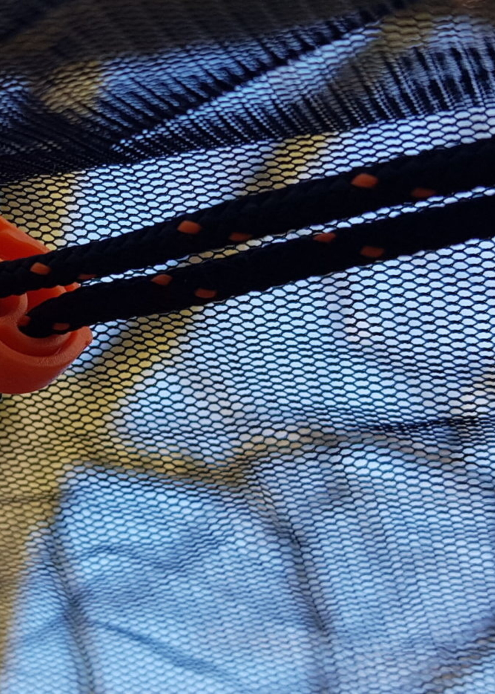 Bushmen Vagabundierendes Wanzen-Netz