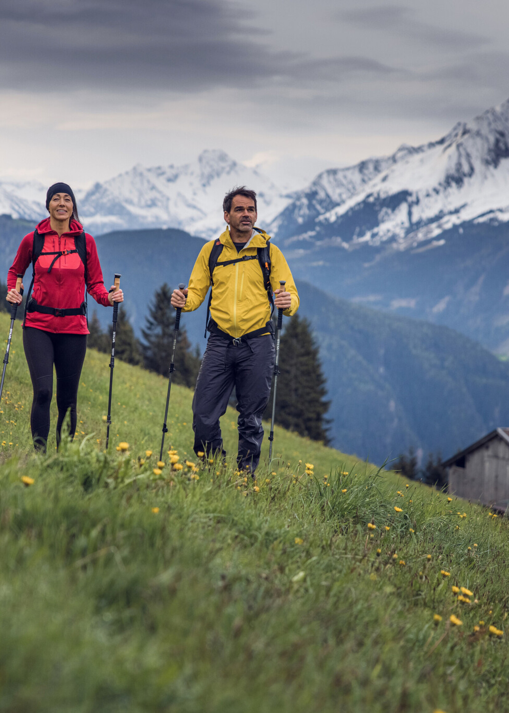 Silva Trekkingstöcke Aluminium Kork