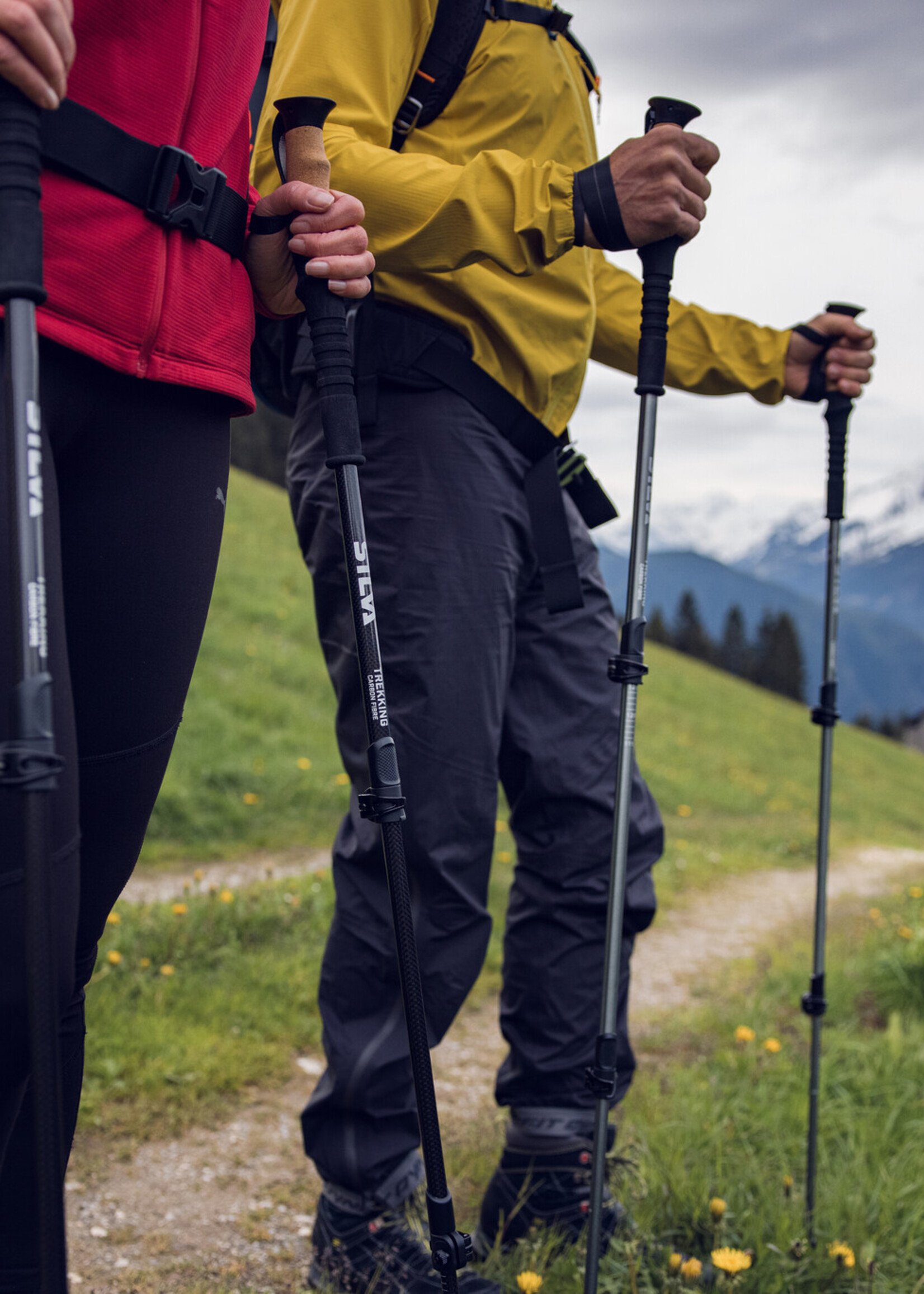 Silva Trekkingstöcke Aluminium Kork