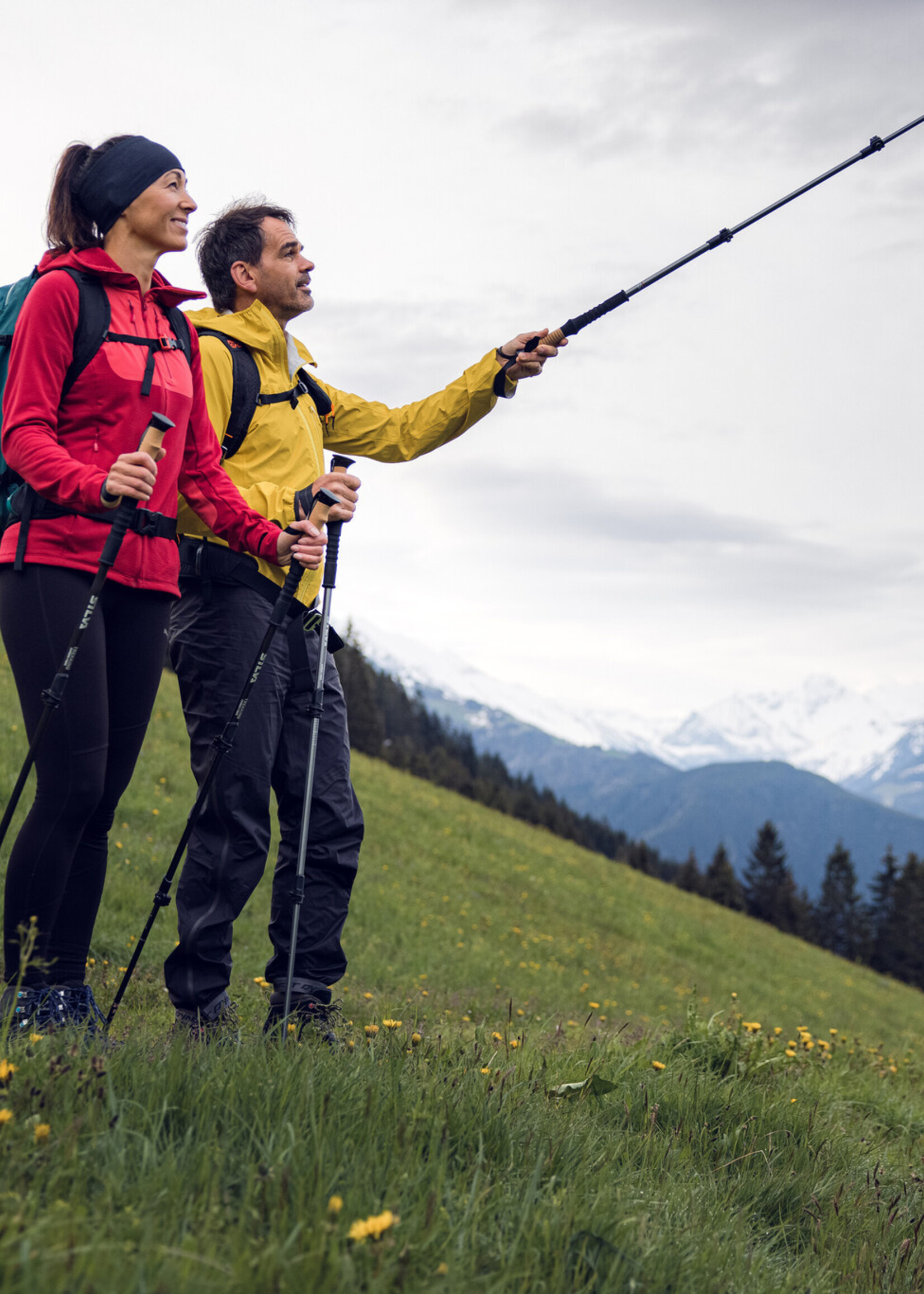 Silva Trekkingstöcke Aluminium Kork