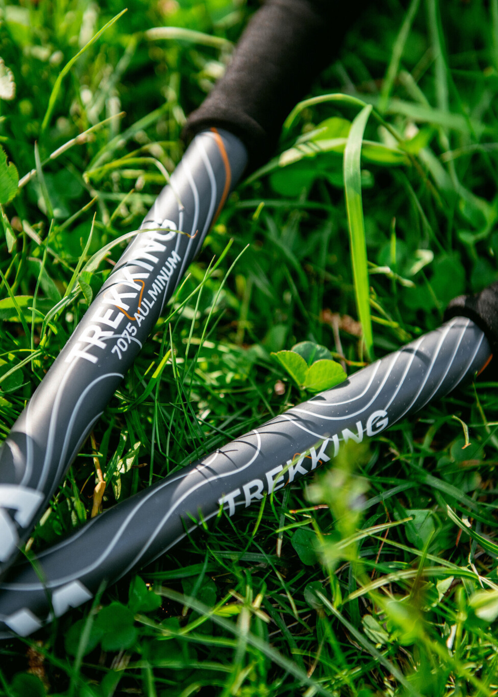 Silva Trekkingstöcke Aluminium Kork