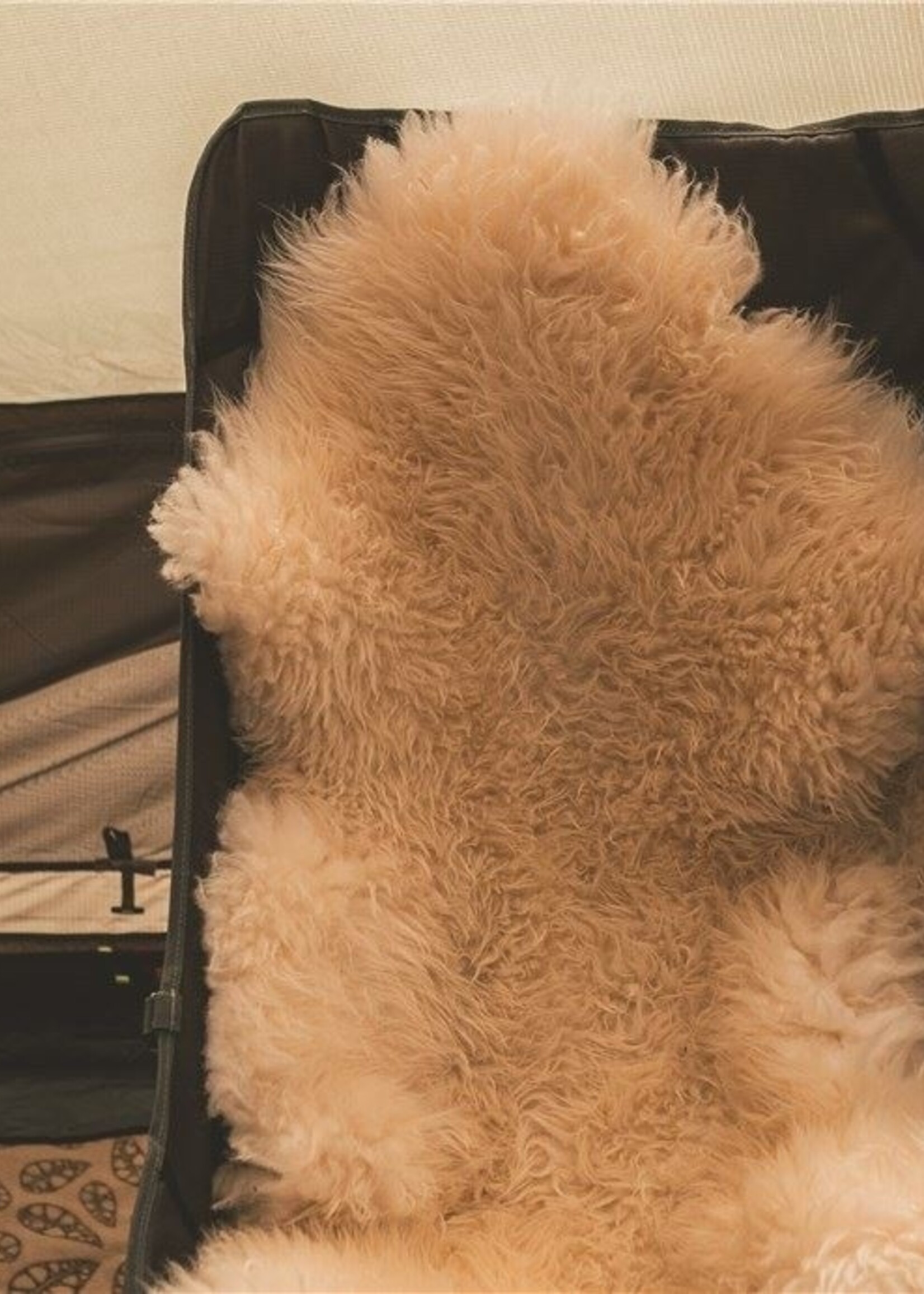 Robens Klappbare Möbel Strider