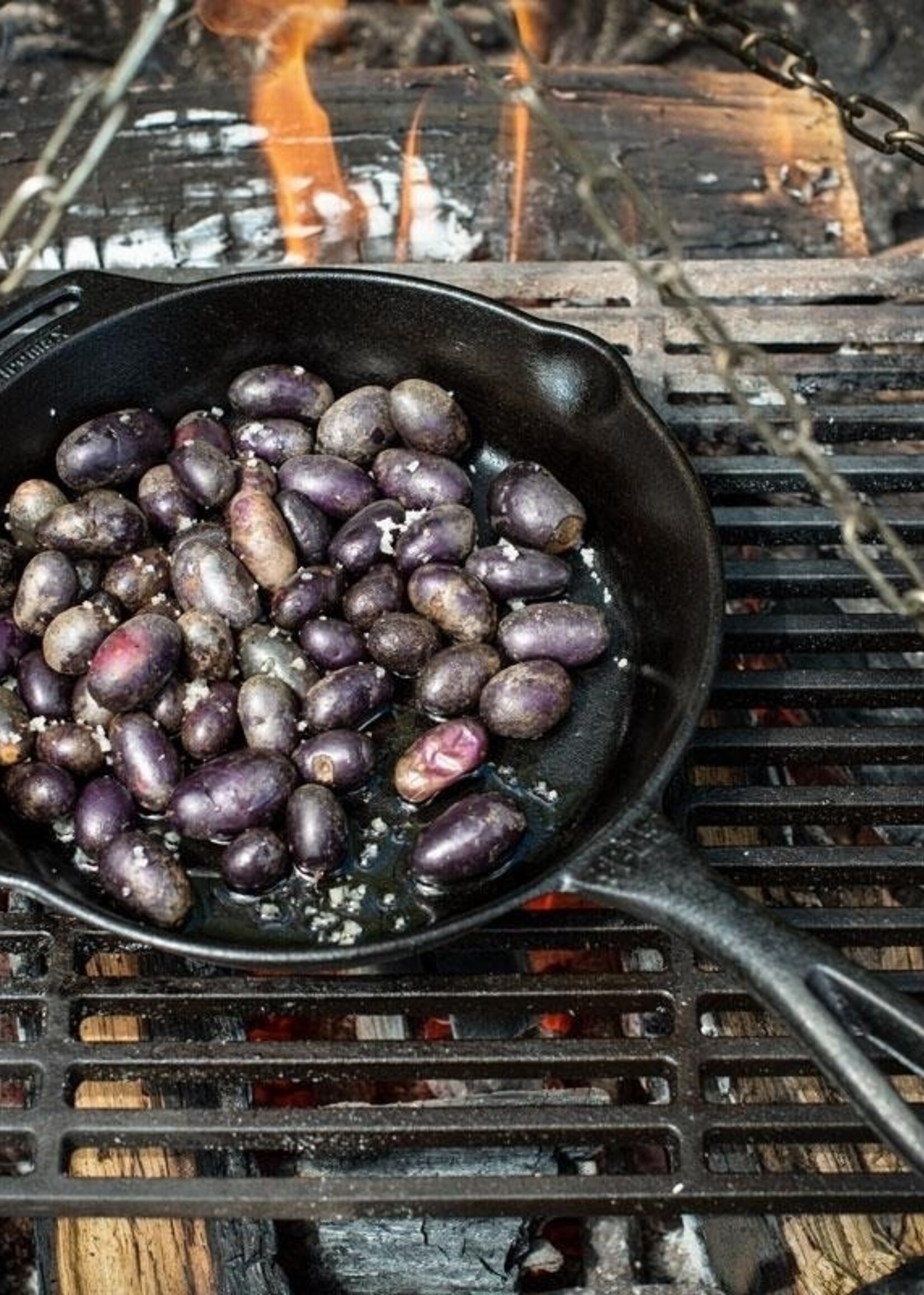 Petromax FP25 Bratpfanne mit Griff