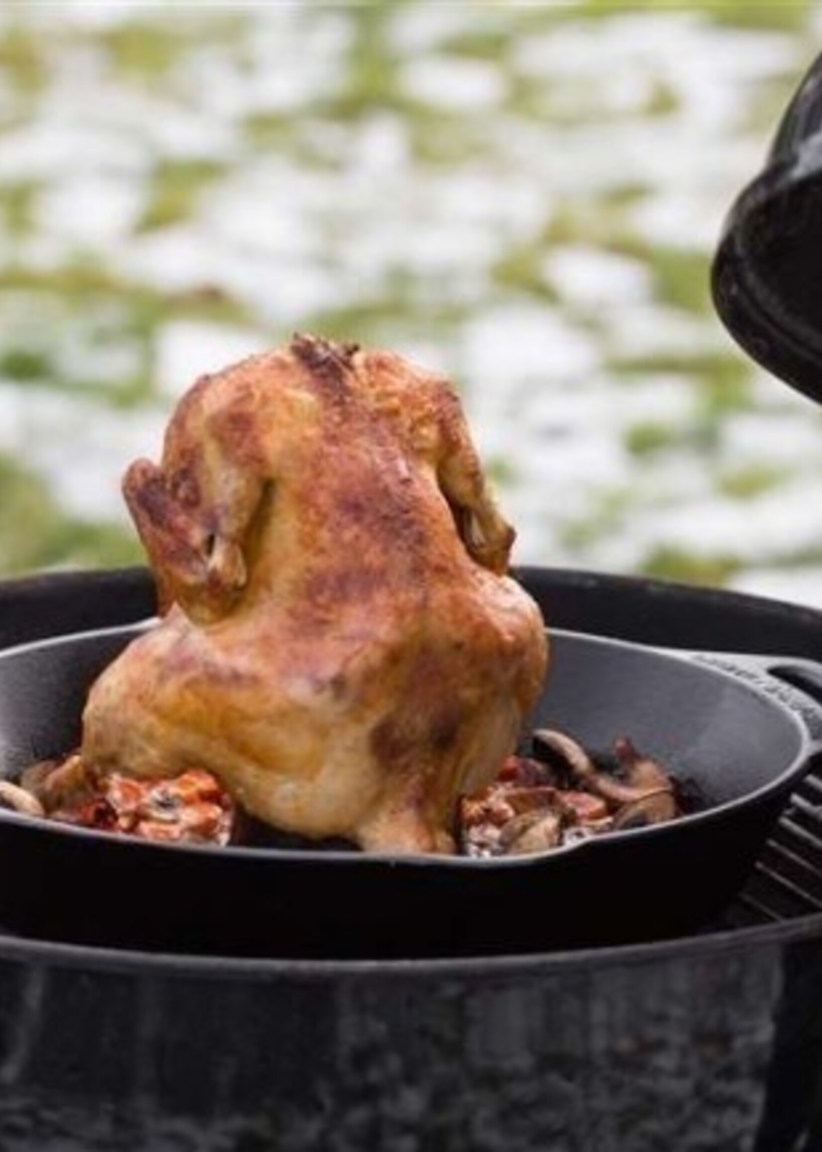 Petromax Geflügelbratpfanne CF30