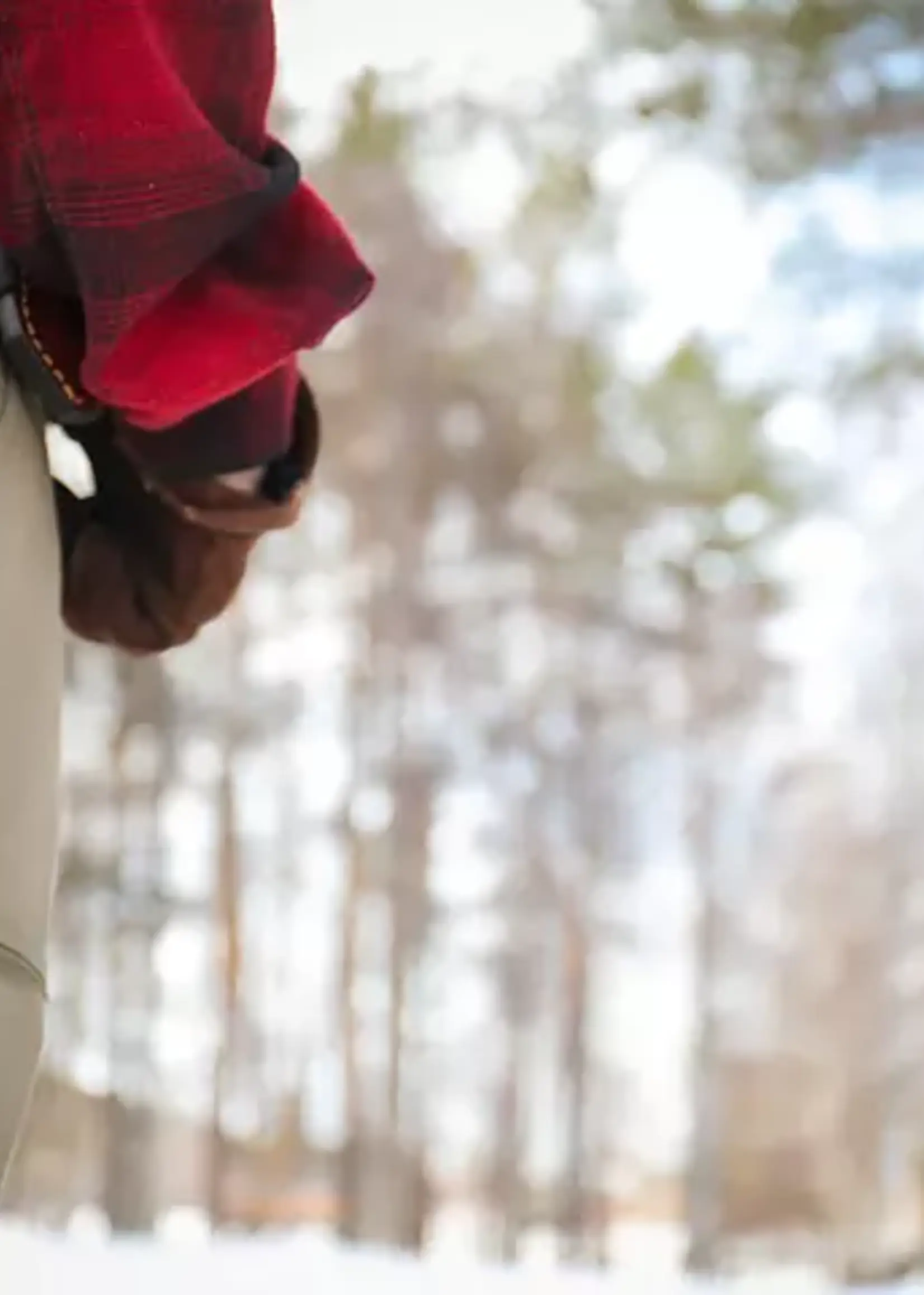 Casstrom Woodsman Curly Birch mit Firesteel - Sleipner Steel