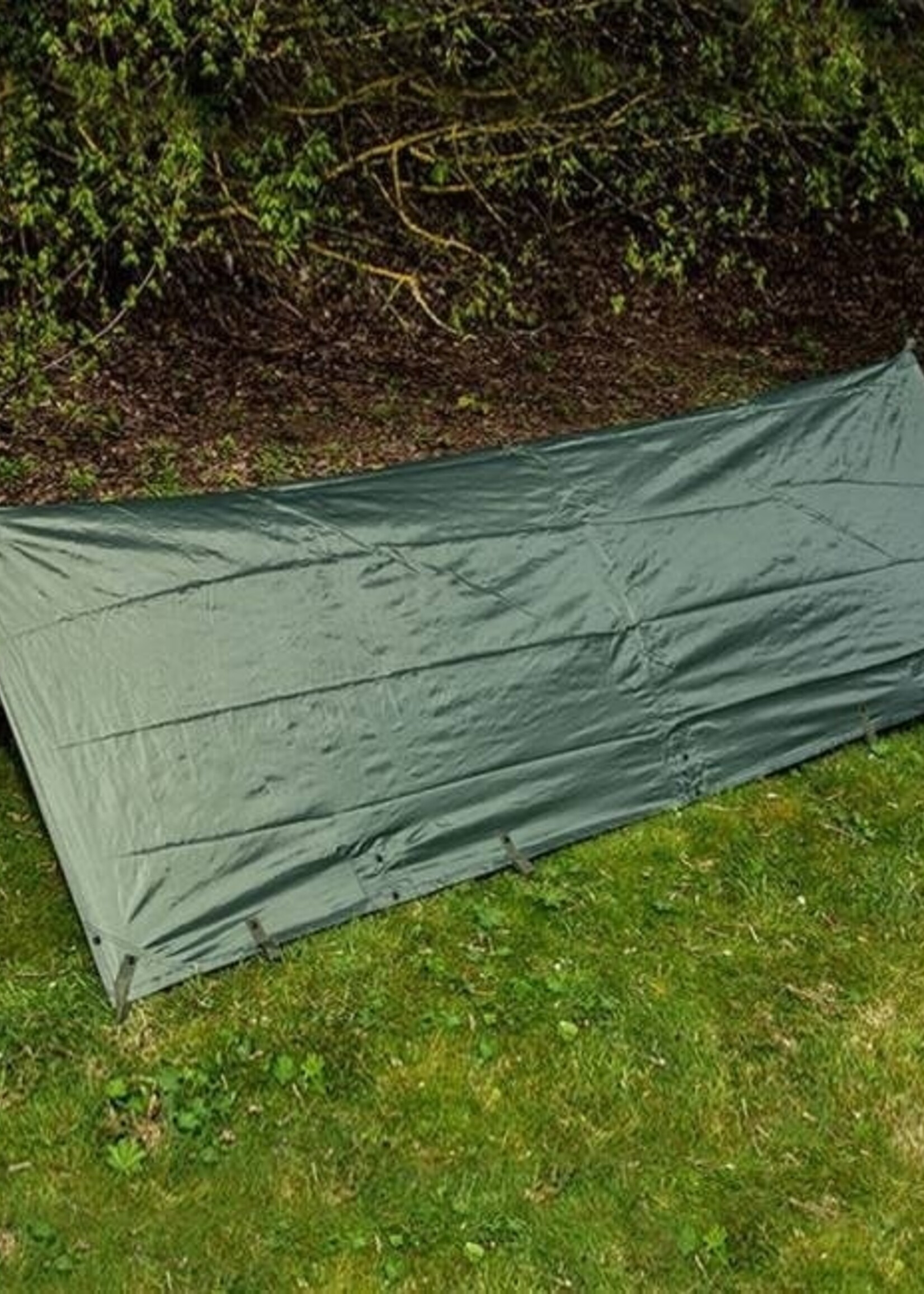 Highlander Basha / Plane-XL- Olivgrün