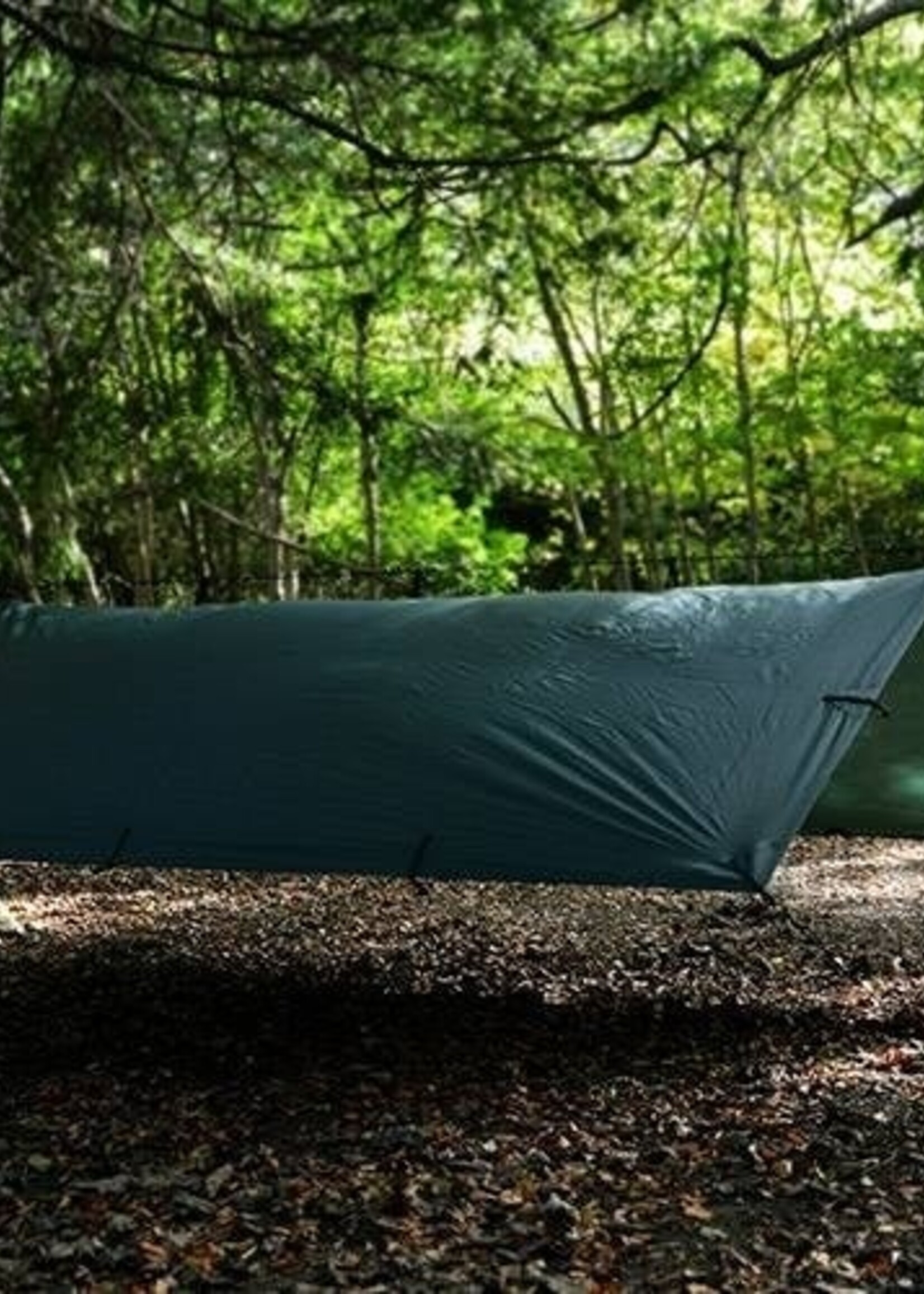 DD Hammocks Tarp/ Abdeckplane 3.5x3.5 Olivgrün