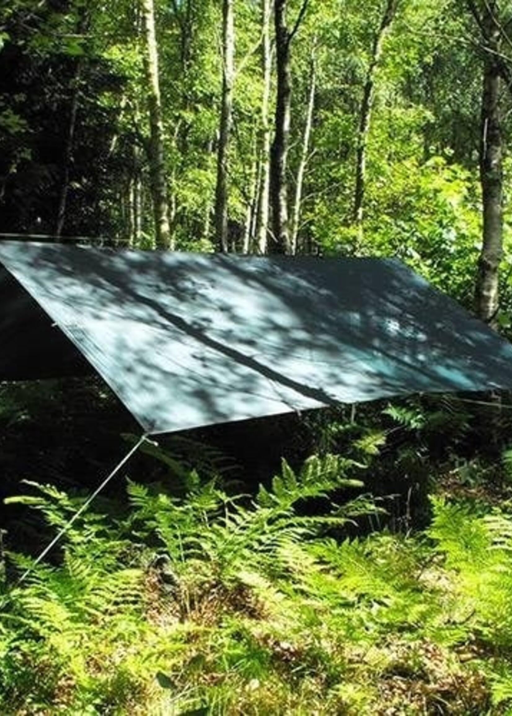 DD Hammocks Tarp/ Abdeckplane 3.5x3.5 Waldgrün