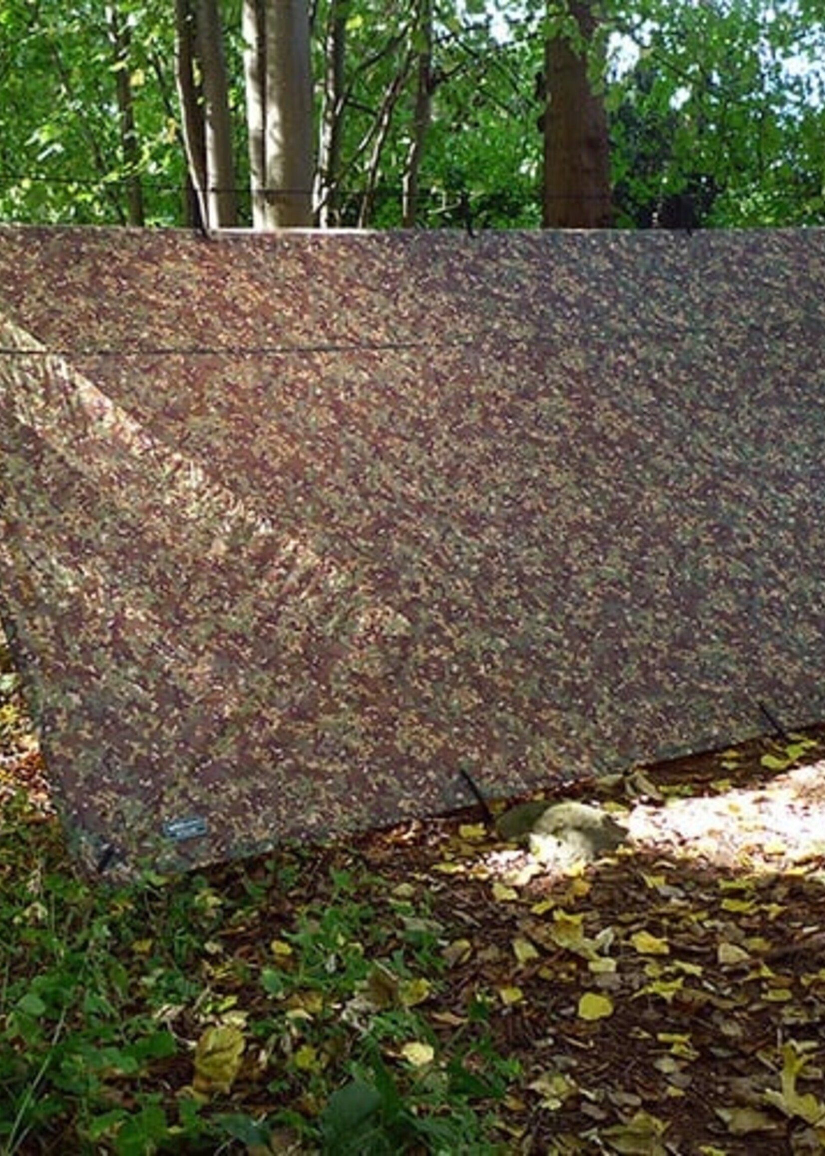 DD Hammocks Tarp/ Abdeckplane 4x4 - Multicam