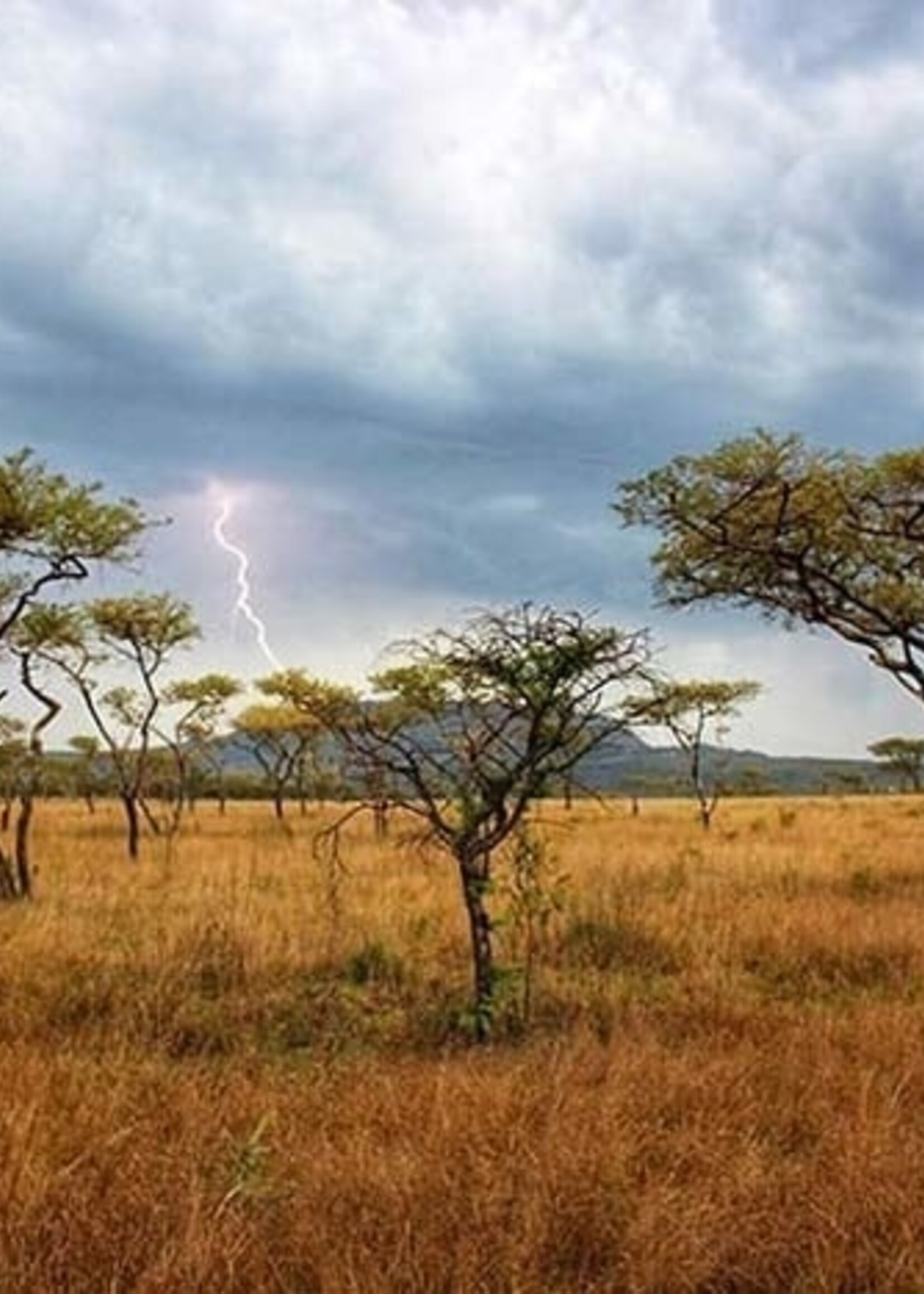 DD Hammocks Tarp/ Abdeckplane 3x3 - Coyote Braun