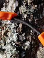 Bushmen Ultraleichte Expander - Orange