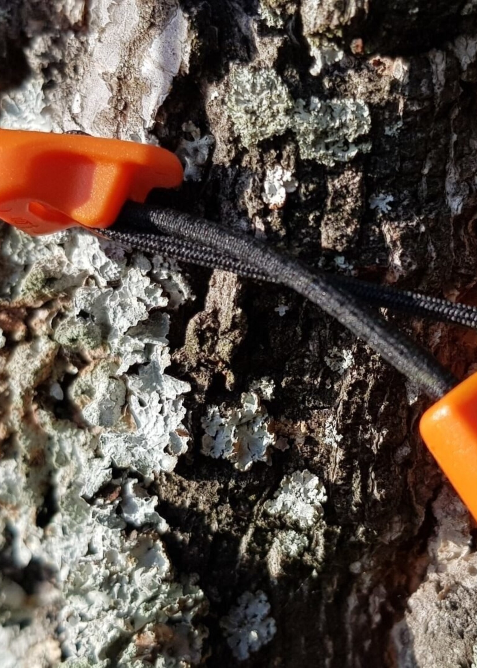 Bushmen Ultraleichte Expander - Orange