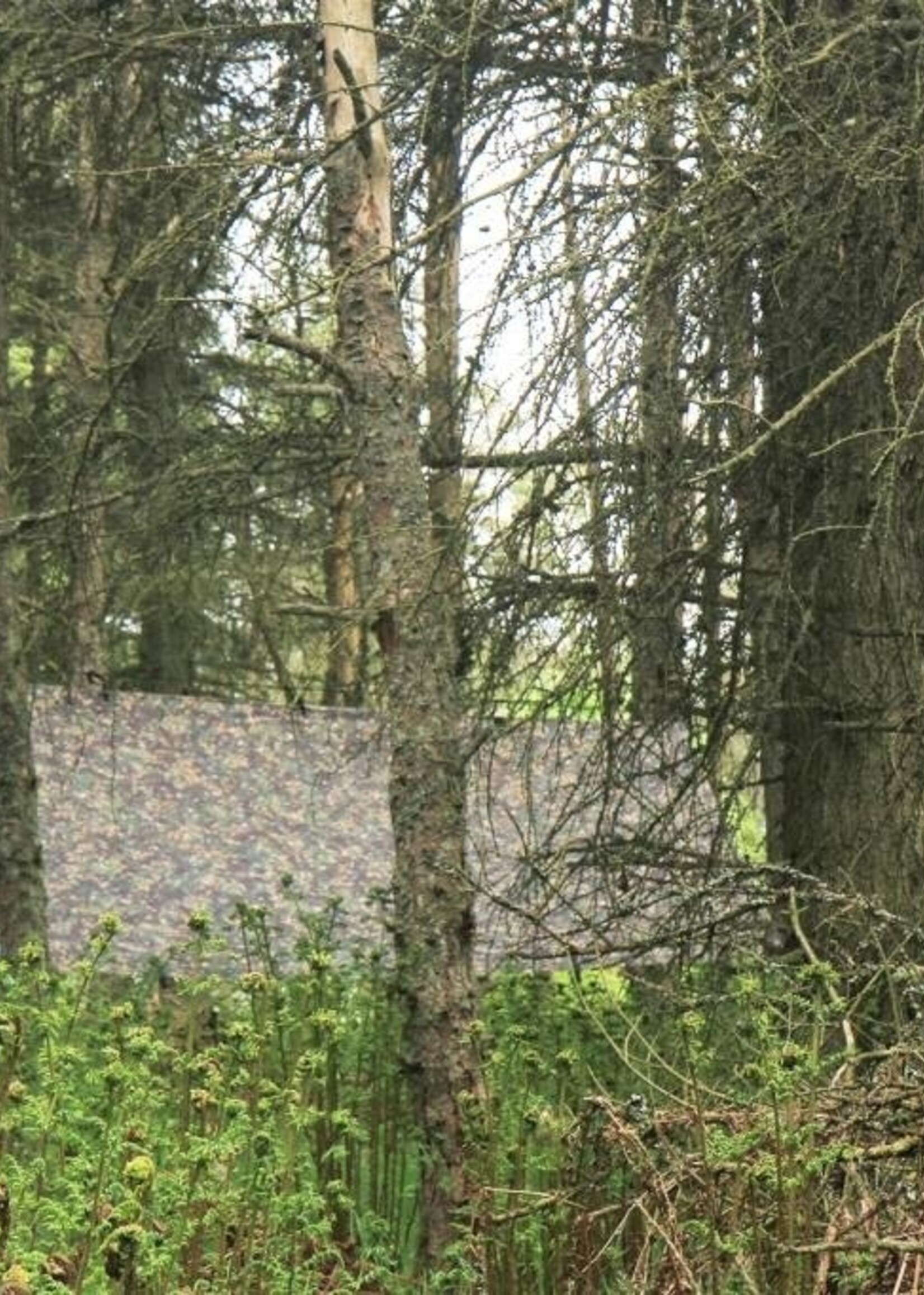 DD Hammocks Tarp/ Abdeckplane 3x3 - Multicam