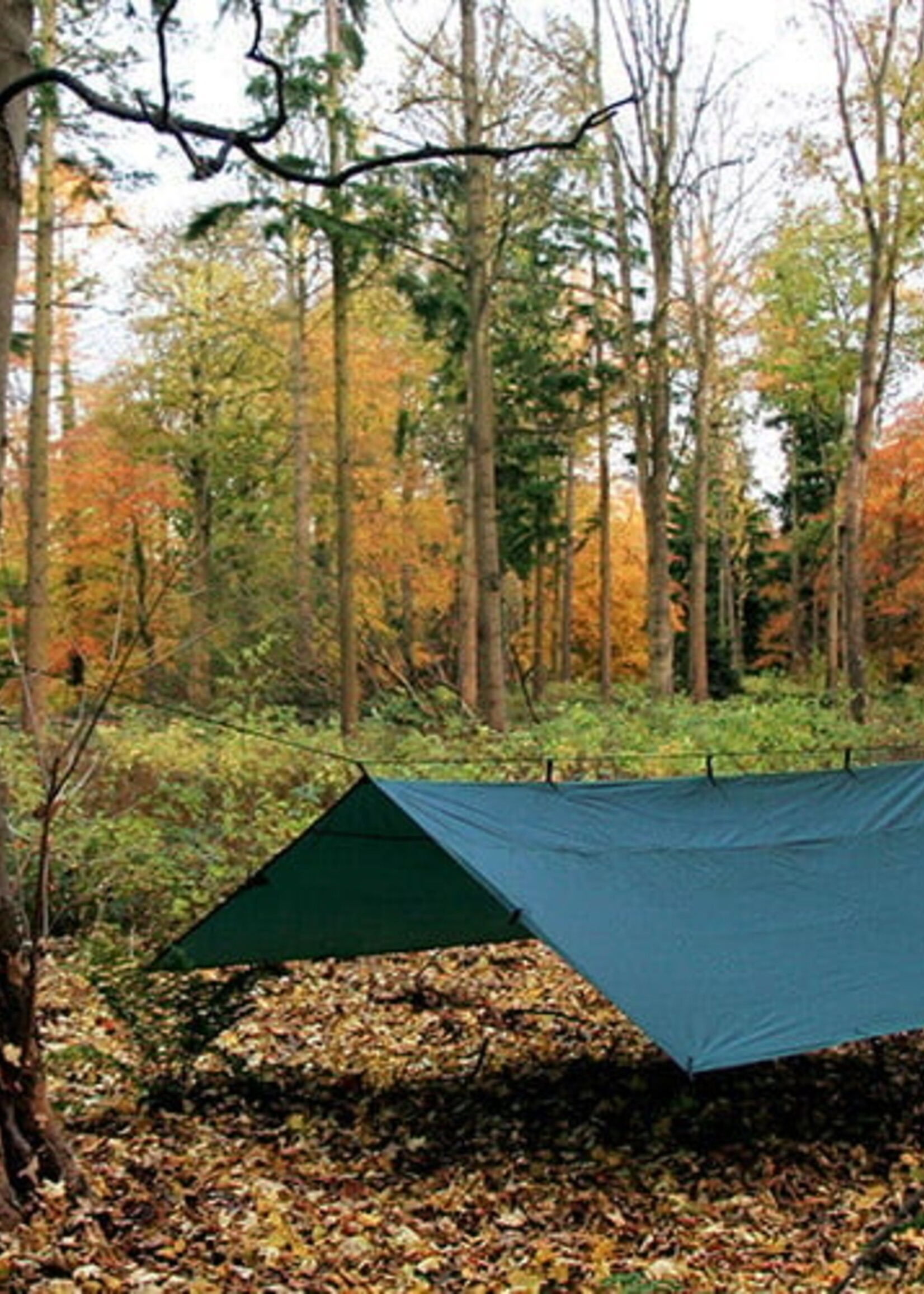 DD Hammocks Tarp/ Abdeckplane 4x4 - Waldgrün