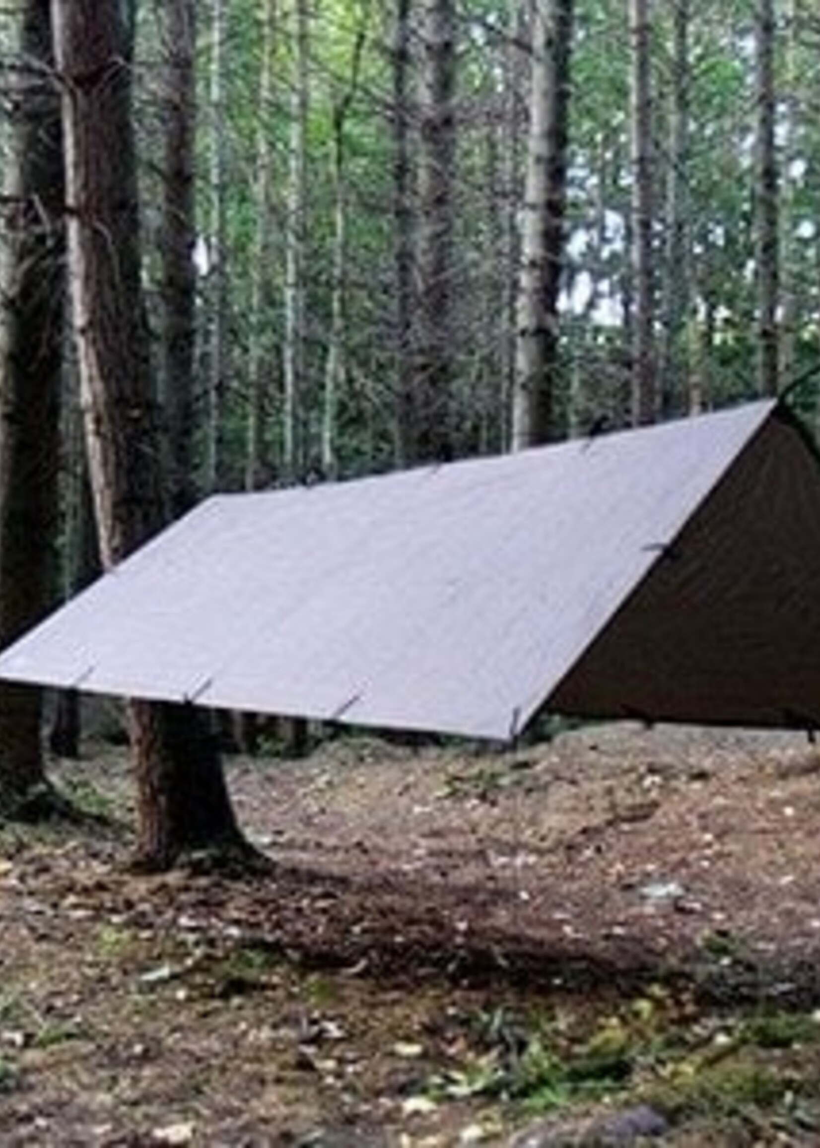 DD Hammocks Tarp M - Kojotenbraun