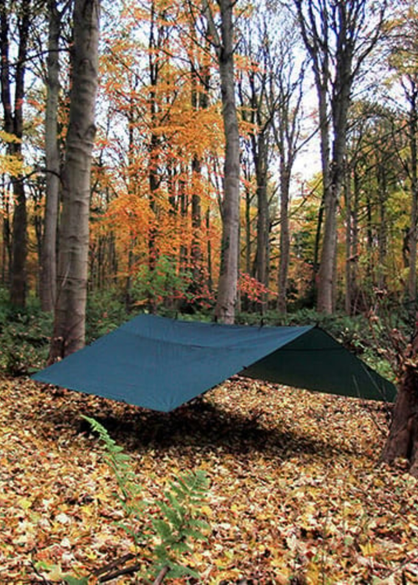 DD Hammocks Tarp/ Abdeckplane 4x4 - Olivgrün