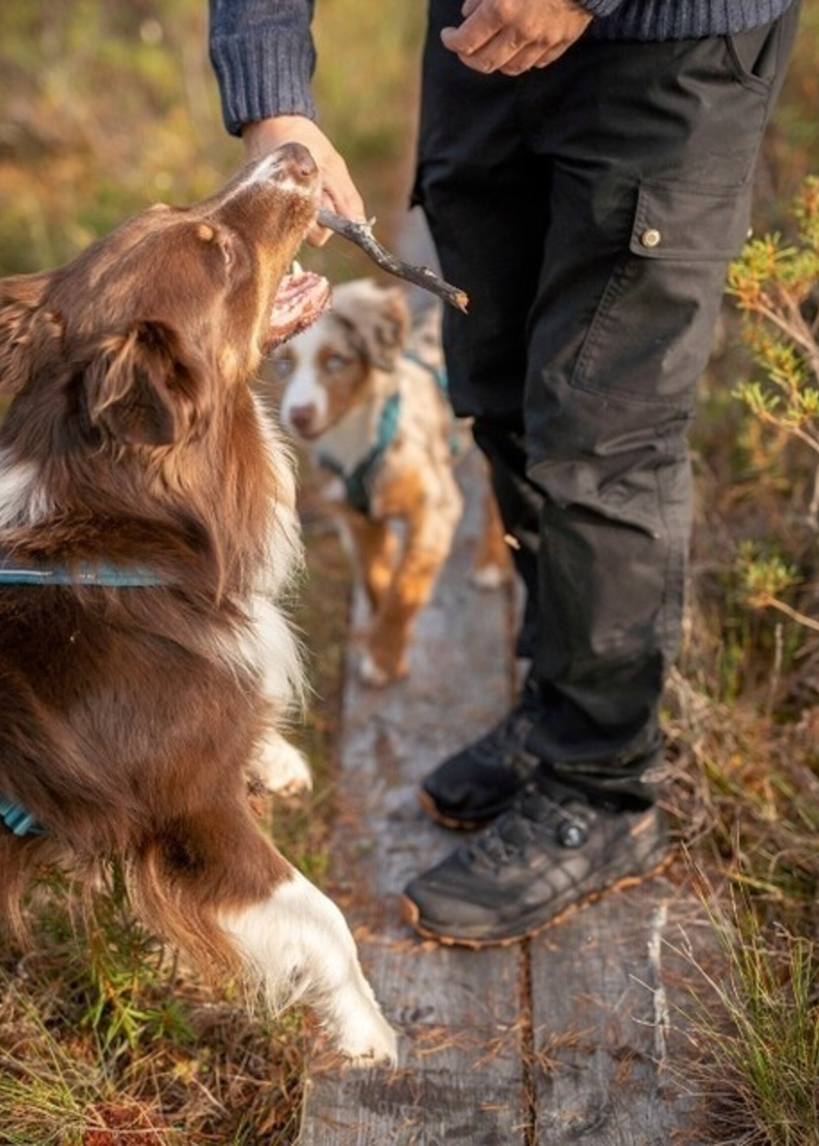 Pinewood Finnveden Classic Outdoor-Hose - Dunkel-Olive