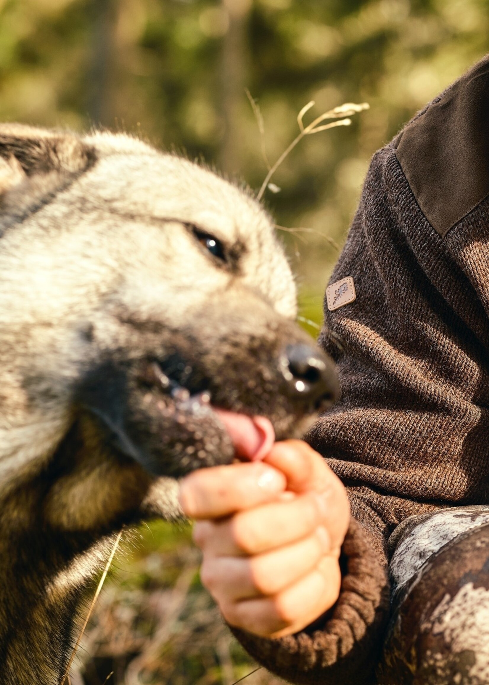 Pinewood Hurricane Pullover - Braun Melange