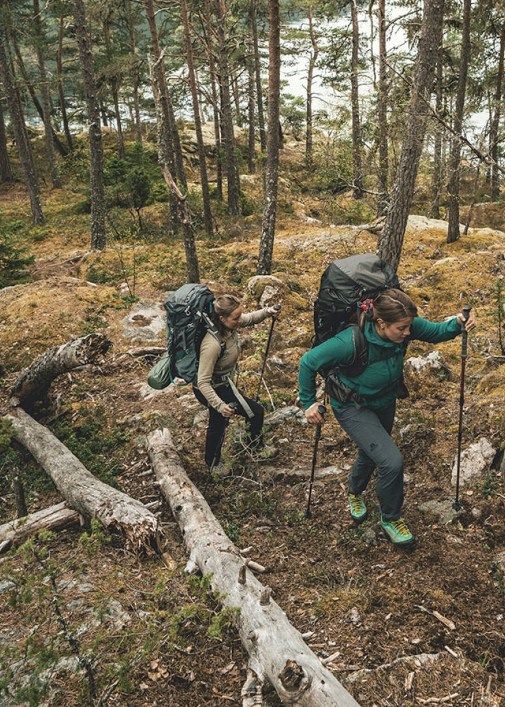 Robens Wanderstöcke Ambleside C66 - 2 Stück