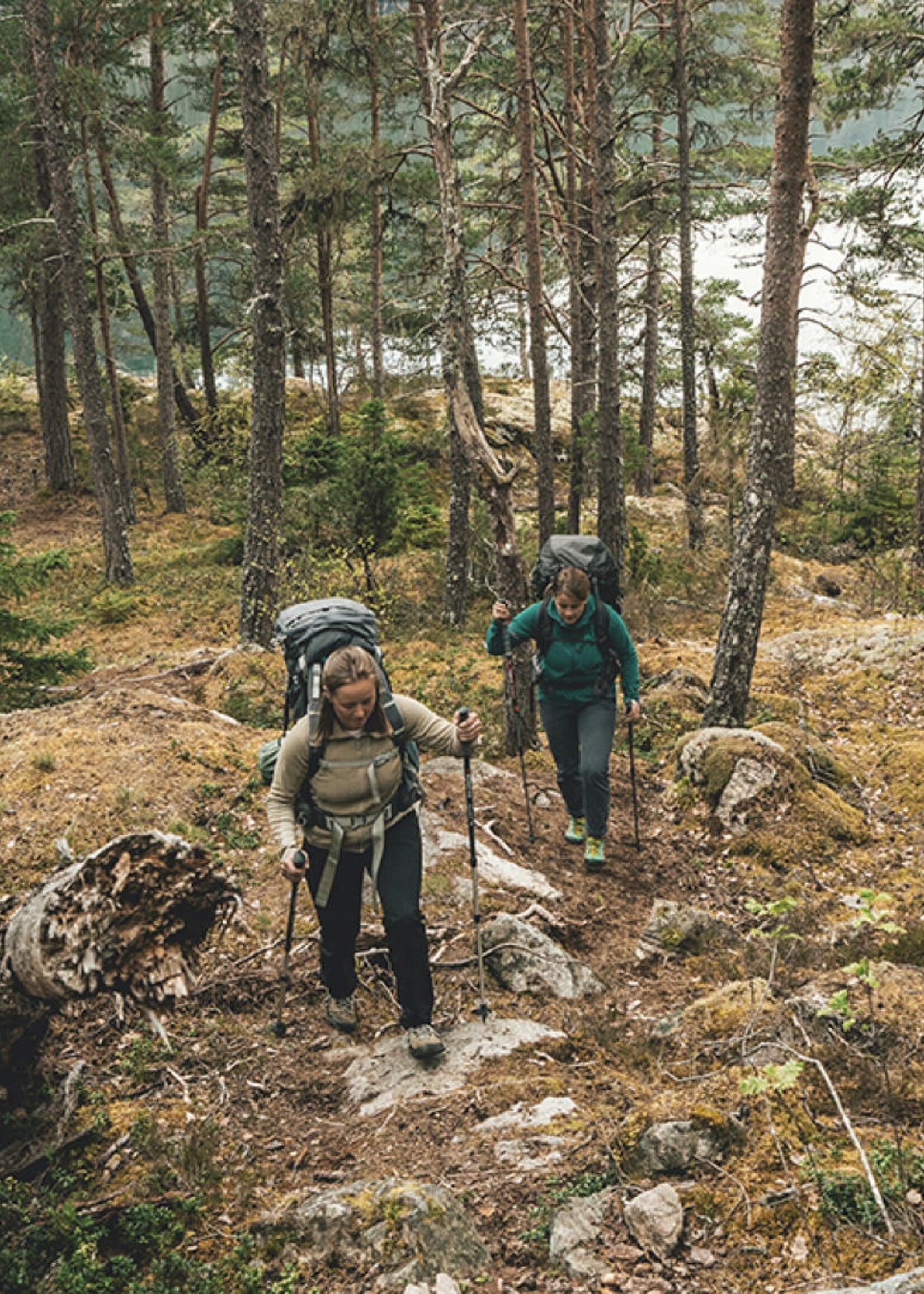 Robens Wanderstöcke Ambleside C66 - 2 Stück