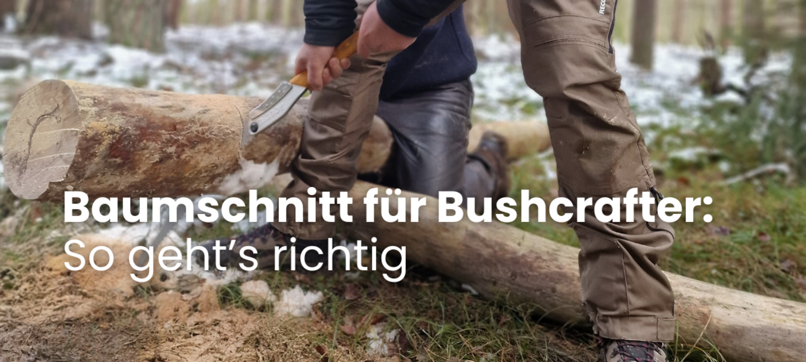 Baumschnitt für Bushcrafter: So geht’s richtig
