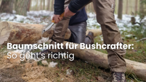 Baumschnitt für Bushcrafter: So geht’s richtig