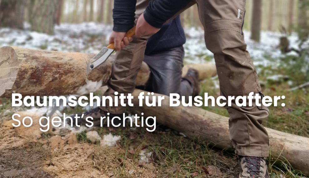 Baumschnitt für Bushcrafter: So geht’s richtig