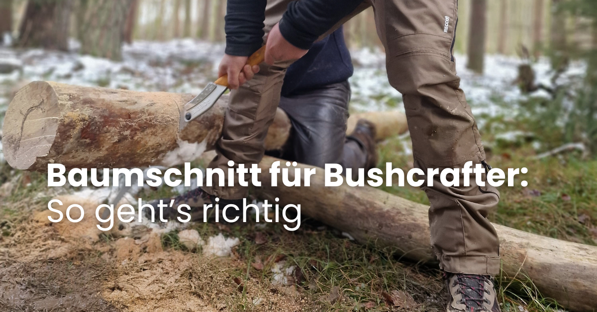 Baumschnitt für Bushcrafter: So geht’s richtig