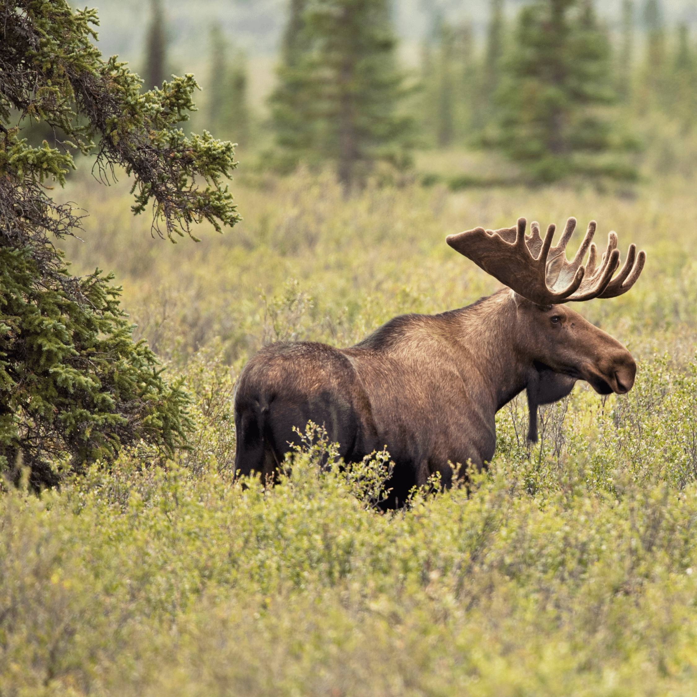 Naturerlebnisse und Kurse