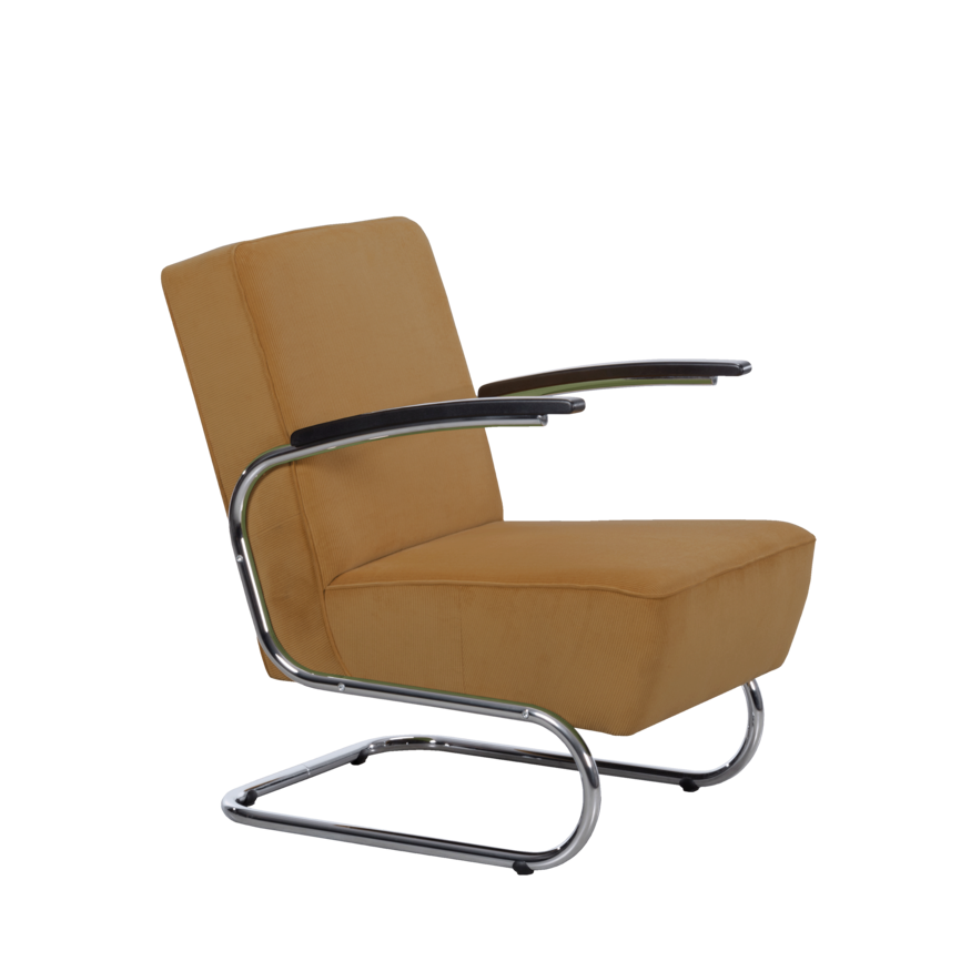 Dykmeyer Dykmeyer De Zwaan Buisframe Fauteuil