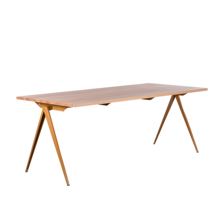 TD4 Okerbruin | Beuken