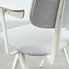Galvanitas Compass Collection  S16 Design Dining Chair with Armrests