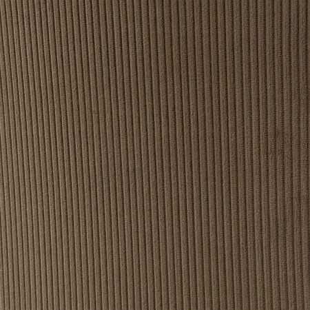 Fabric sample Cordova 2 1019 | Grey Beige