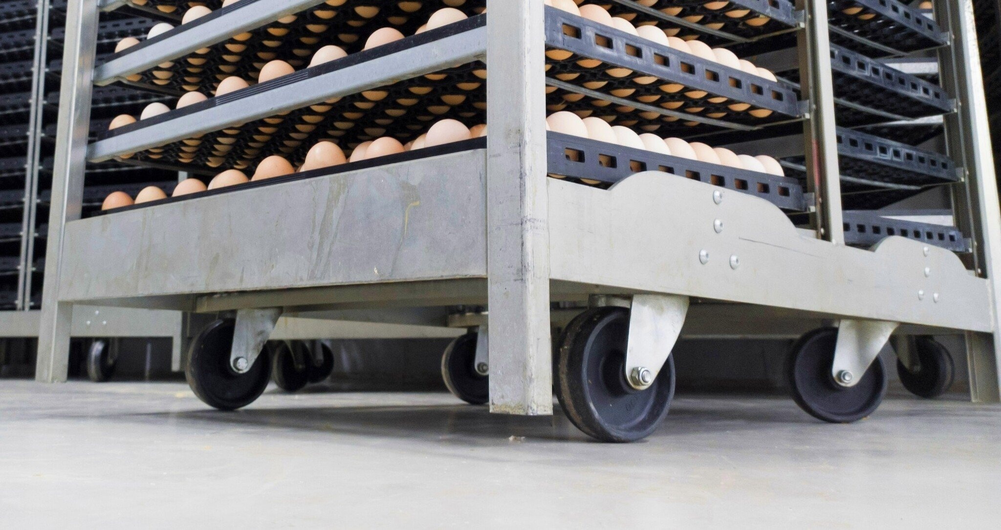 Piekarnia - Koła piekarnika