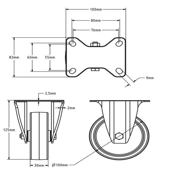 Rvs kółko stałe 100 mm - Nylon - 200 kg