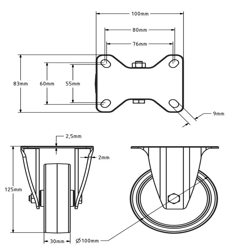 Rvs kółko stałe 100 mm - Nylon - 200 kg