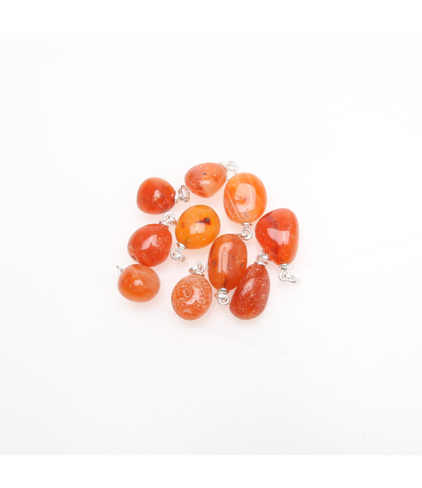 Carneool hanger zilver 925 (10 pcs)