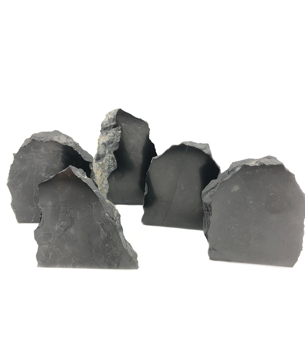 Shungiet one side polished medium